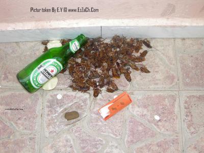 Tu pence quoi a propose  de ses cafart